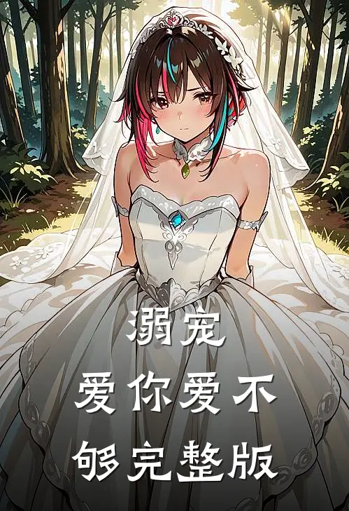 溺宠：爱你爱不够完整版