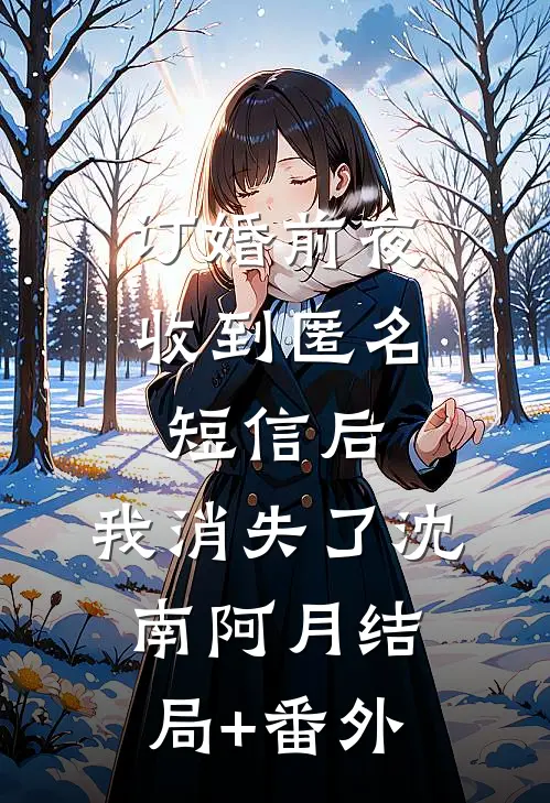 订婚前夜收到匿名短信后，我消失了沈南阿月结局+番外
