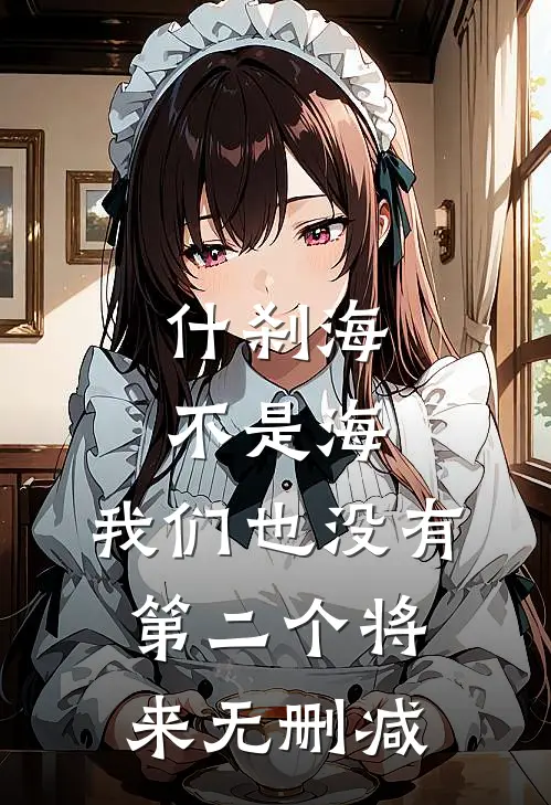什刹海不是海，我们也没有第二个将来无删减