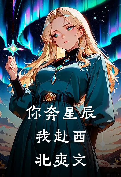 你奔星辰，我赴西北爽文