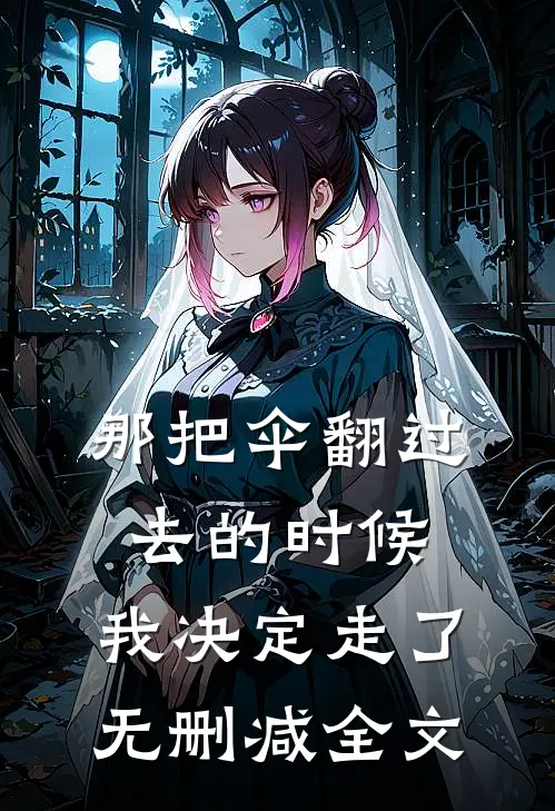 那把伞翻过去的时候，我决定走了无删减全文