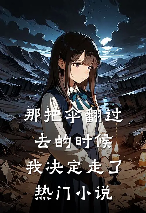 那把伞翻过去的时候，我决定走了热门小说
