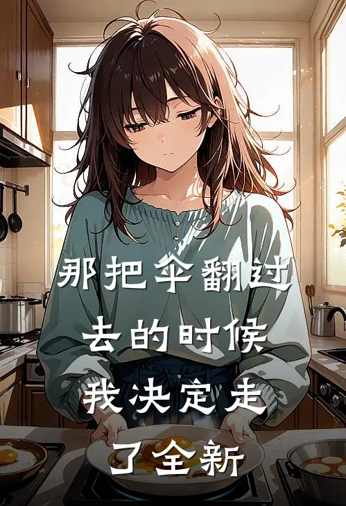 那把伞翻过去的时候，我决定走了全新