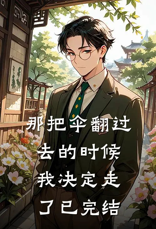 那把伞翻过去的时候，我决定走了已完结