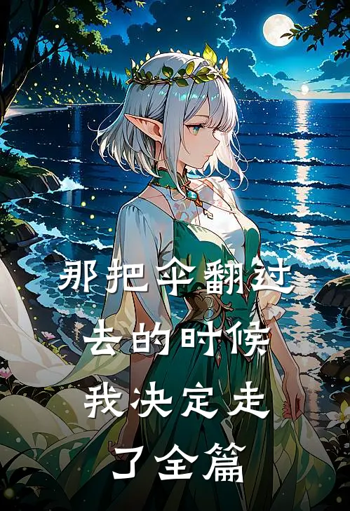 那把伞翻过去的时候，我决定走了全篇