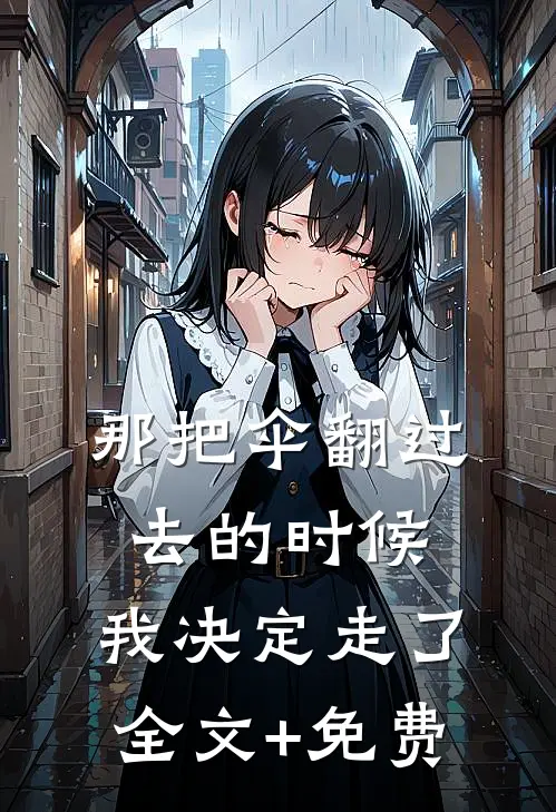 那把伞翻过去的时候，我决定走了全文+免费