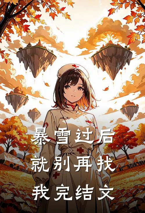 暴雪过后，就别再找我完结文