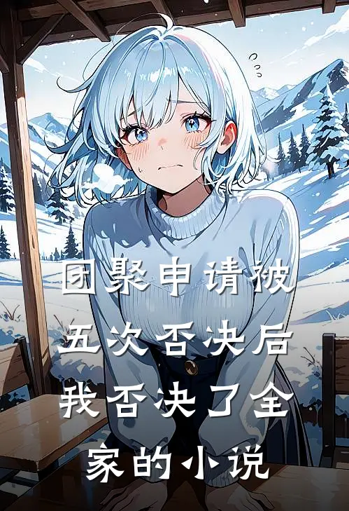 团聚申请被五次否决后，我否决了全家的小说