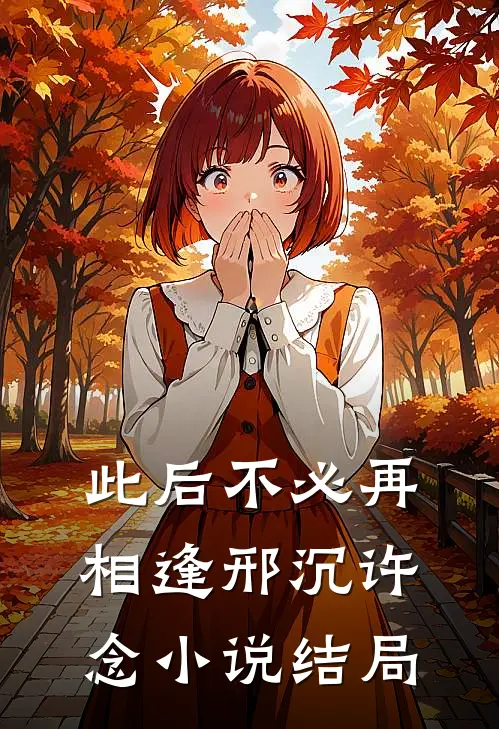 此后不必再相逢邢沉许念小说结局