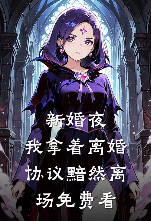 新婚夜，我拿着离婚协议黯然离场免费看