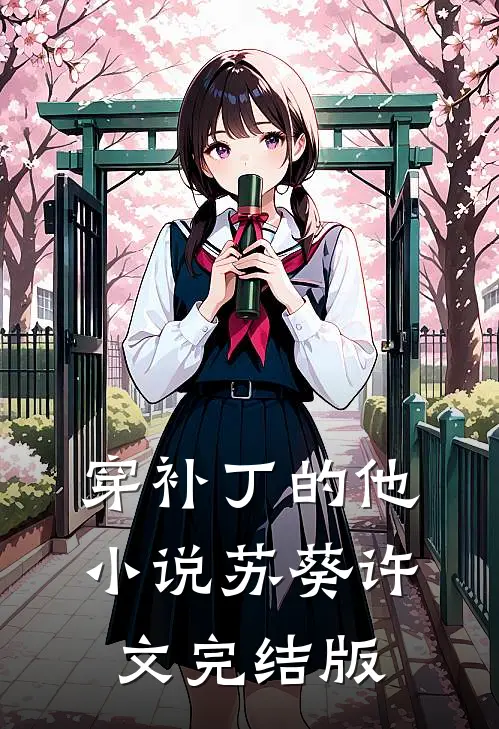 穿补丁的他小说苏葵许文完结版