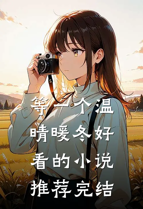 等一个温晴暖冬好看的小说推荐完结