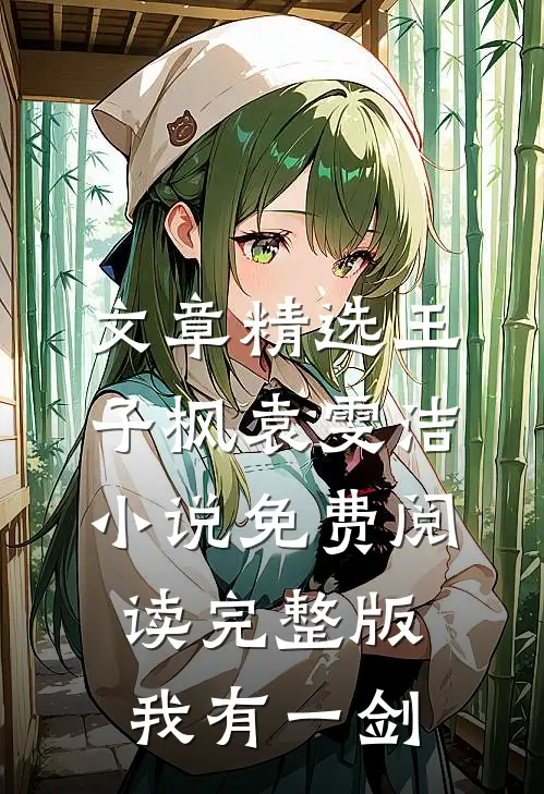 文章精选王子枫袁雯洁小说免费阅读完整版我有一剑