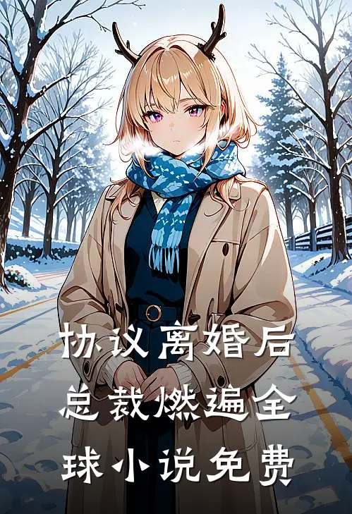 协议离婚后，总裁燃遍全球小说免费
