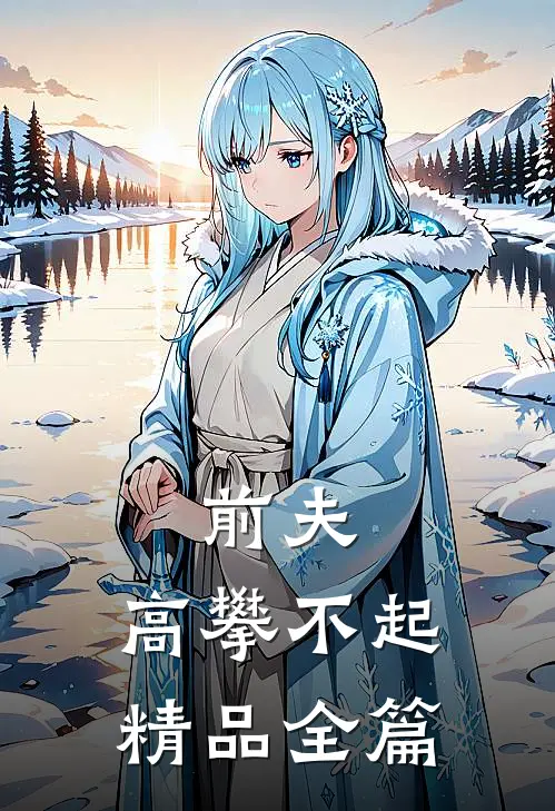 前夫，高攀不起精品全篇