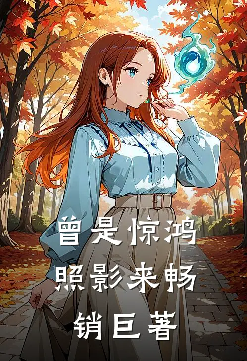 曾是惊鸿照影来畅销巨著