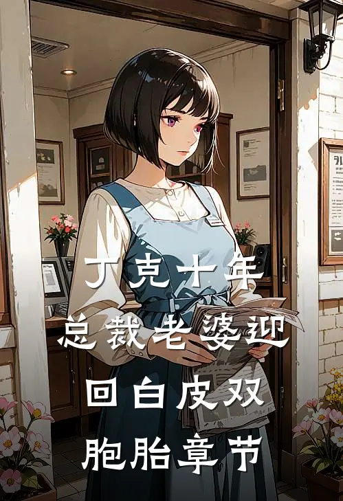 丁克十年，总裁老婆迎回白皮双胞胎章节