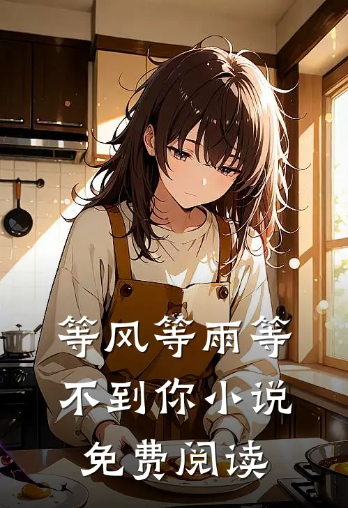 等风等雨等不到你小说免费阅读