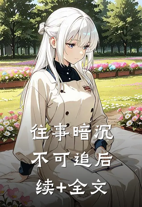 往事暗沉不可追后续+全文