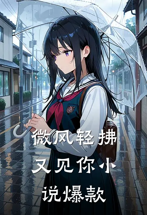 微风轻拂又见你小说爆款