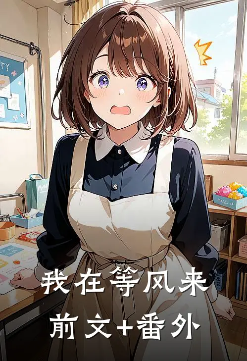我在等风来前文+番外