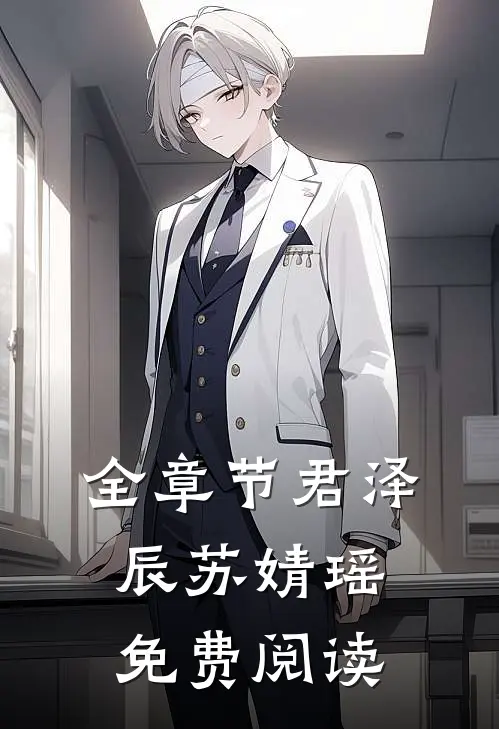 全章节君泽辰苏婧瑶免费阅读