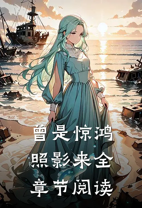 曾是惊鸿照影来全章节阅读