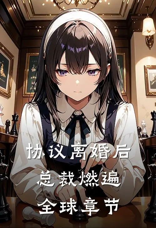 协议离婚后，总裁燃遍全球章节