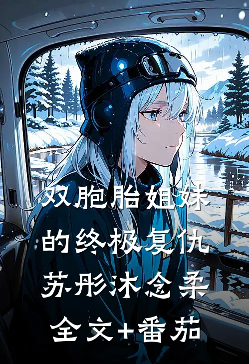 双胞胎姐妹的终极复仇苏彤沐念柔全文+番茄
