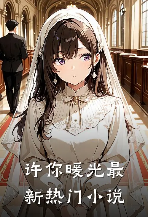 许你暖光最新热门小说